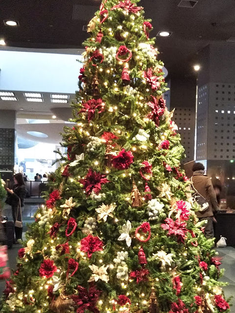 赤いポインセチアで飾られた大きなクリスマスツリー