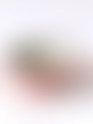 桜咲く春感じる盃