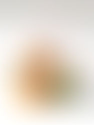 さくら舞う急須