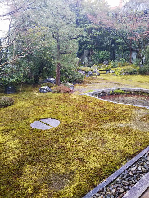 本法寺「巴の庭」。苔の庭に半円の石が二つ並ぶ