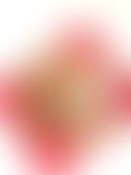赤絵と花柄が美しいお皿
