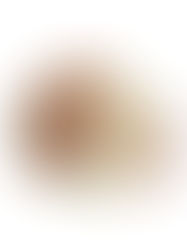 豪華に緻密に描かれた菊の酒盃