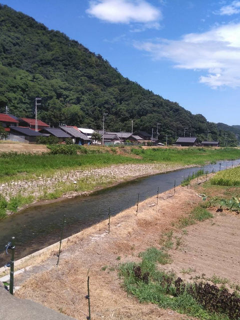 山あいの集落と川、田んぼが広がる帰省先の風景