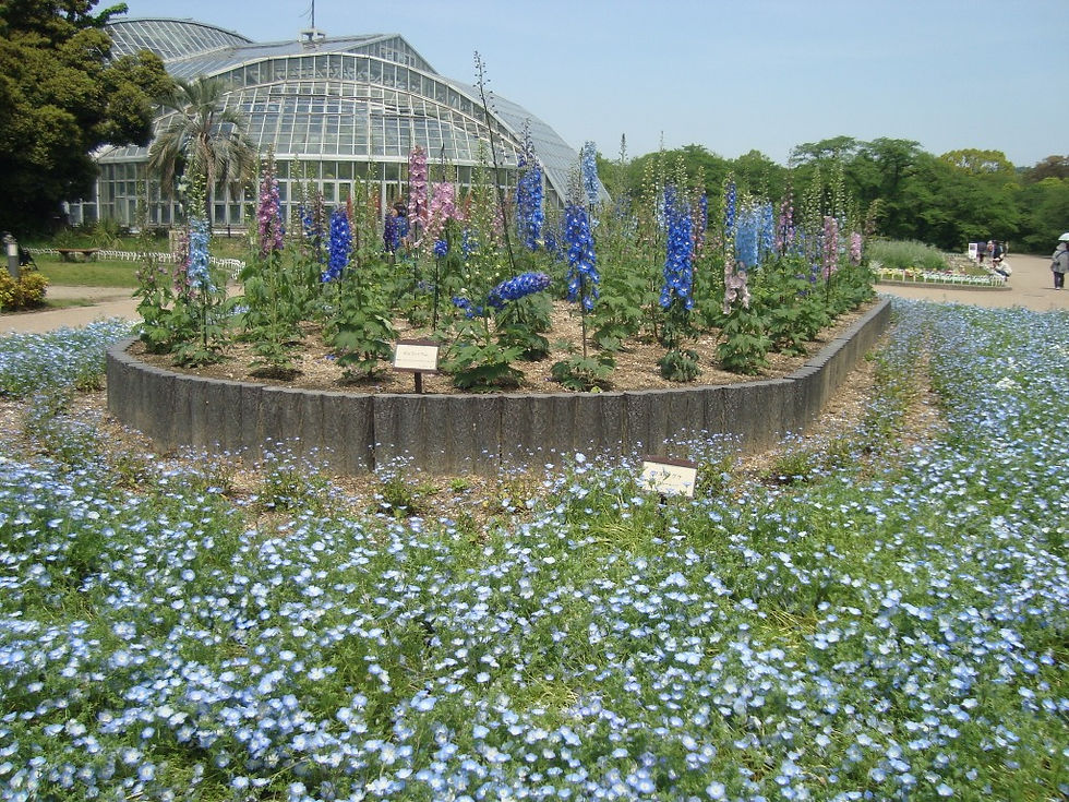 温室の前に青い花が咲く植物園の花壇とネモフィラ