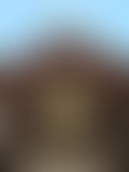 北野天満宮へお礼に