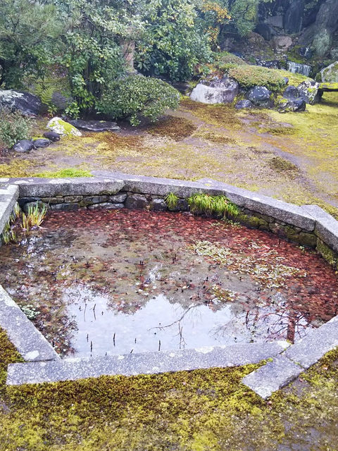 巴の庭の池。八角形の石組みに紅葉が沈む