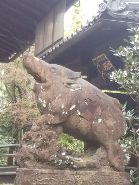 本法寺の境内にある猪の像。灯籠の傍らで牙をむく