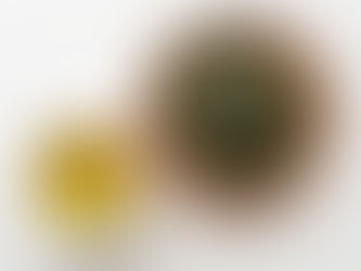 2023年04月26日 新茶のうつわ