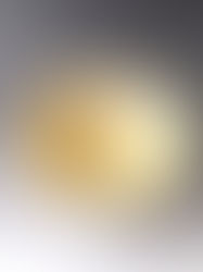 ヒマワリが咲くようなうつわ