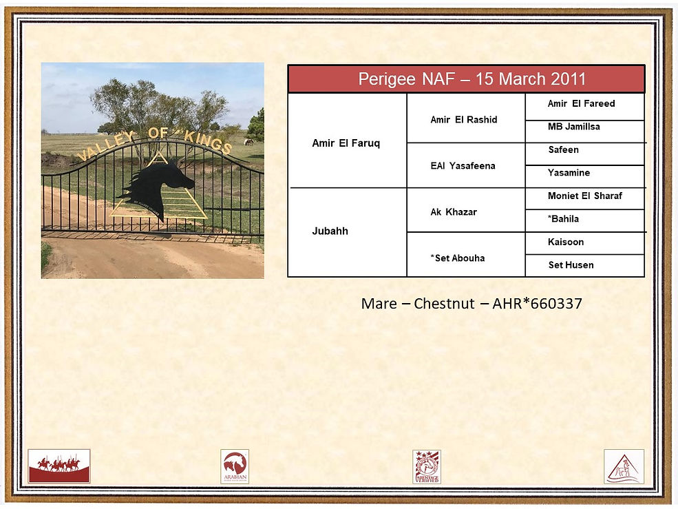 Slide27.JPG