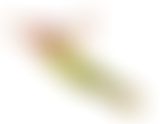 Wolfsstufe: Quartalsprogramm