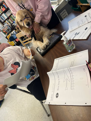 Therapy dog Kualani helps students write.
