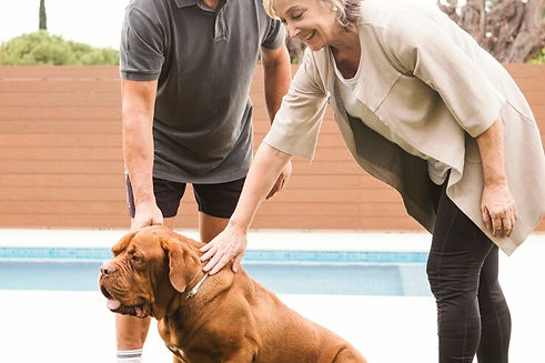 An elderly couple training with their dog.
