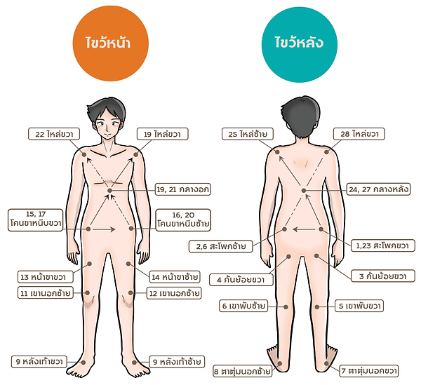กำหนดจุด-28-จุด.png