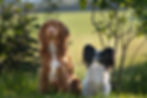 River & Sophie.jpg