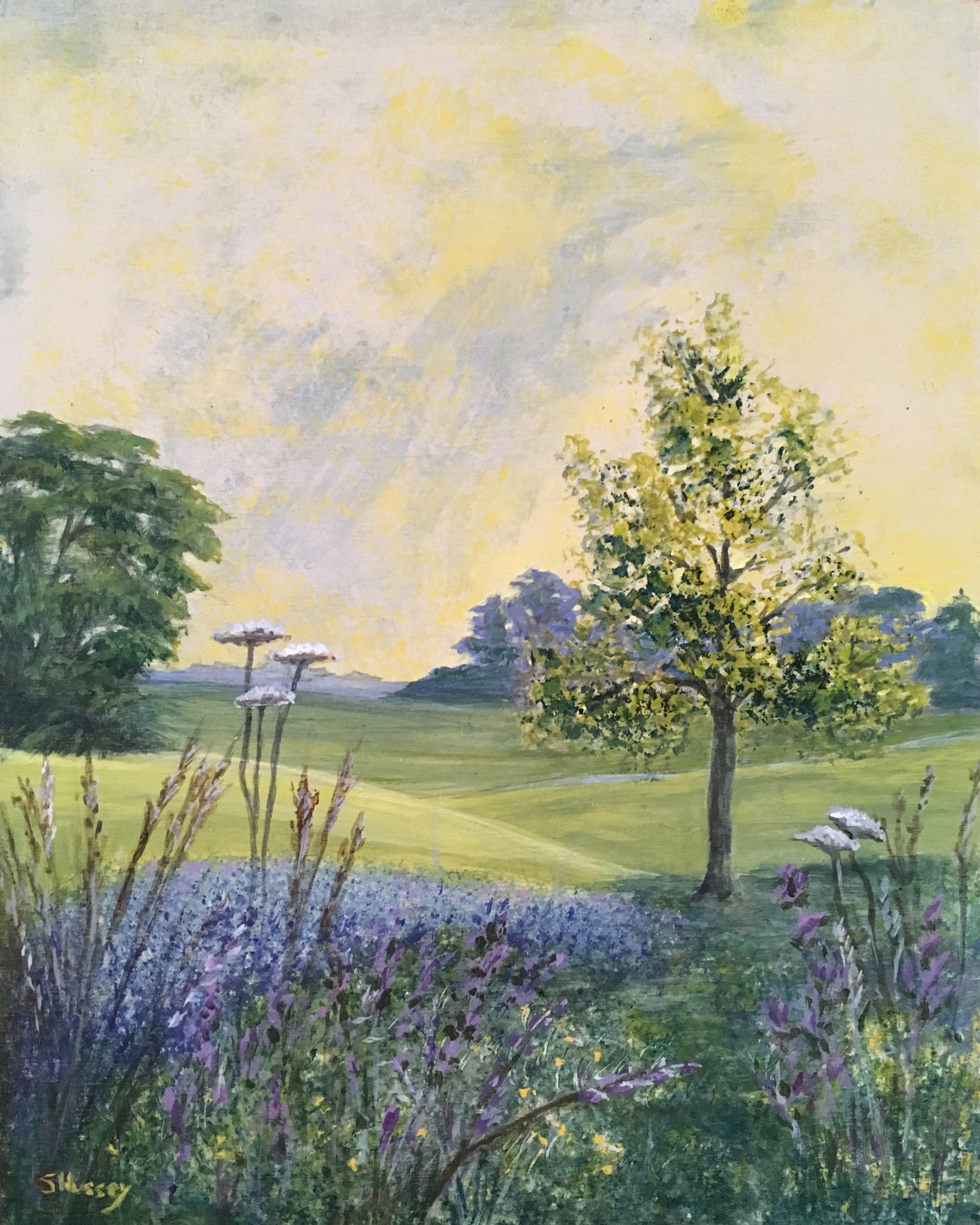 Morning Light