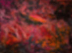 Surge 澎湃 150 x 200cm
