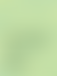 New publication: Environmental Law: The Living Handbook, a living manual for a discipline in transformation