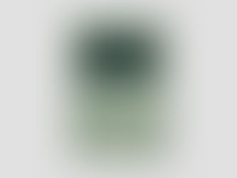 Portada de la publicación 