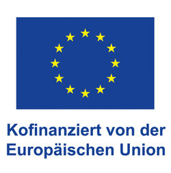 DE_V_Kofinanziert_von_der_EuropN__ischen_Union_POS