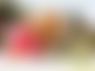 Руководство к действию, или: – Выходи каменный цветок!)
