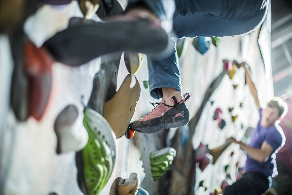 Abonnements et cours d'escalade à Wallness Pontivy