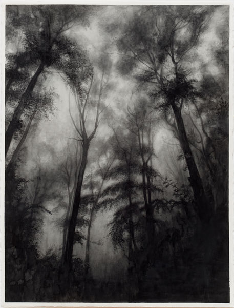 schwarz-weiß Aquarell Wald