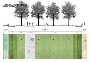 Image coupe laniere v3.png