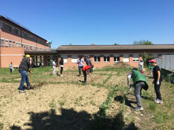 laboratorio Orto - IIIS Barletti