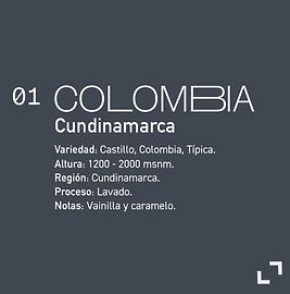 WhatsApp Image 2024-12-29 at 18.26.07.jpeg