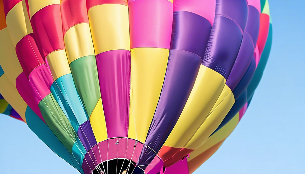 Scenic Hot Air Balloon Adventure