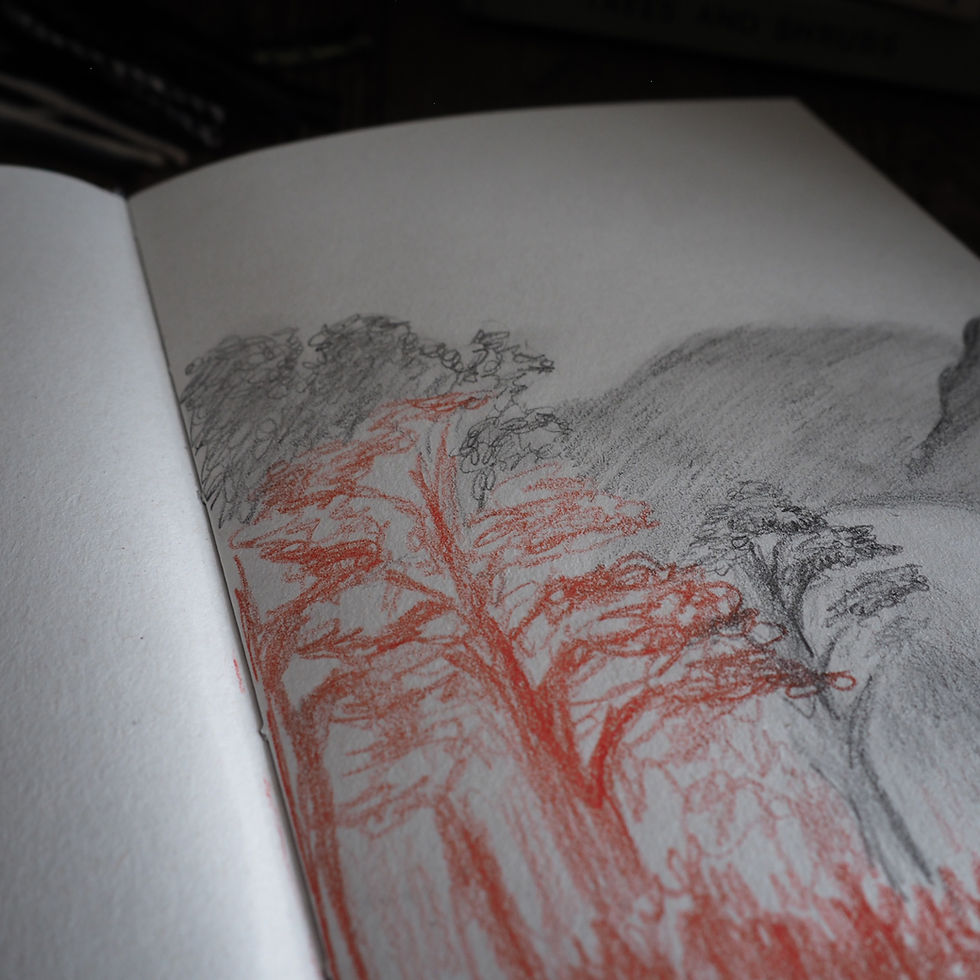 Thumbnail: A close up of the sketchbook paper with a pencil drawing on one page