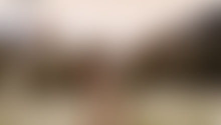 Flapper Press Poetry Café Series: My Favorite Poetry—Mary Oliver