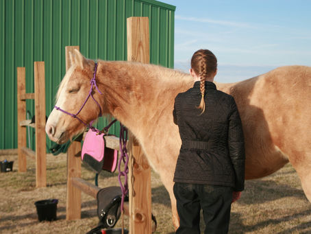 Gift Horses