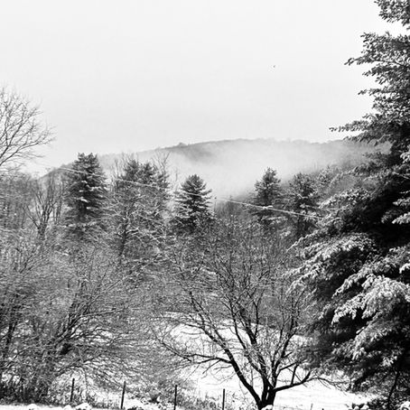 I Don't Believe in Signs, But . . . 