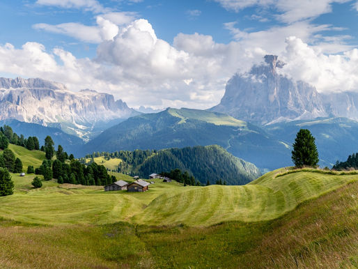 Spaghetti Cacio e Pepe