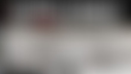 Flash Interviews—My North Stars