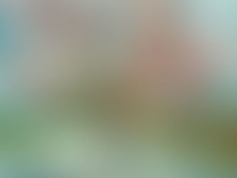 Provocation Four: In Praise of the Sweetest Nectar