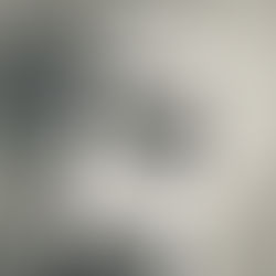 This Land Is Our Land