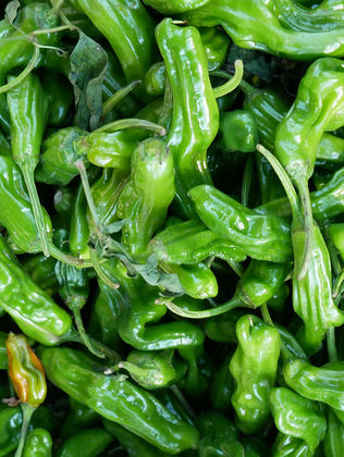 Favorite Recipes: Shishito Peppers with Healthy Aioli à la Gwyneth Paltrow
