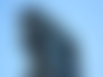 The Medici Beef Stew