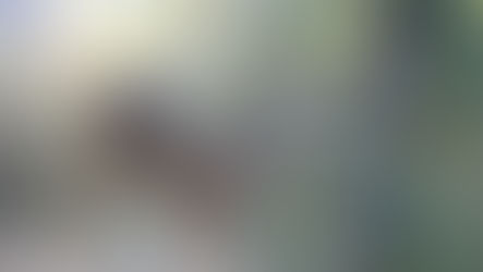 Beyond the Farm Gates: A Journey of 5000 Miles (Part 3)