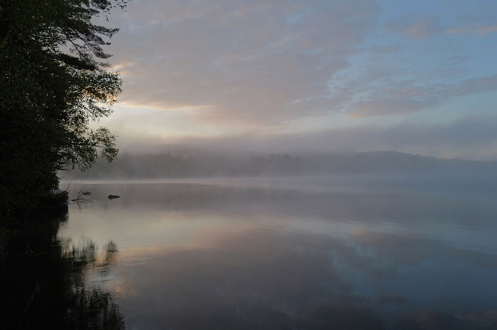 Mitchnick, Paul, Dawns Pretty Palette, photograph