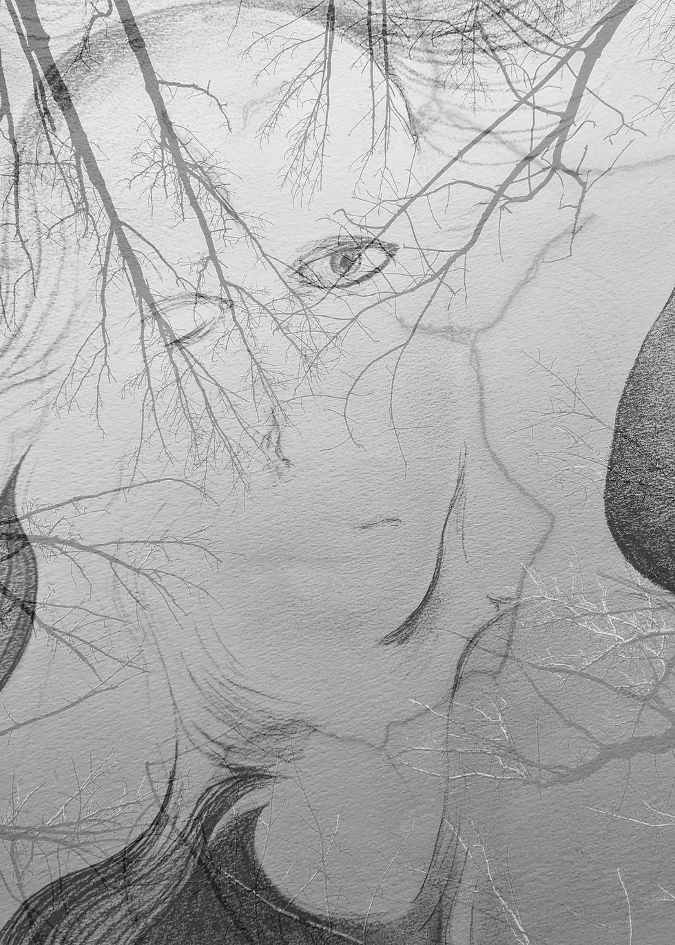Biles, Chris. "Hollow," Drawing/photo collage; pencil on paper and digital photographs, 5" x 7"