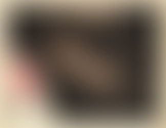 Turkeys Over Hollywood: Ed Wood and PLAN 9 FROM OUTER SPACE