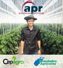 La innovación y el desarrollo tecnológico