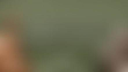 การถูกโจมตีข้ามอ่าวเบงกอลโดยฝ่ายโจฬะ  จุดจบของรัฐการค้าชายฝั่งบริเวณหมู่เกาะของสหพันธรัฐศรีวิชัยและบทบาทที่เพิ่มขึ้นของพ่อค้าชาวจีนในราวพุทธศตวรรษที่ ๑๖ (๓)