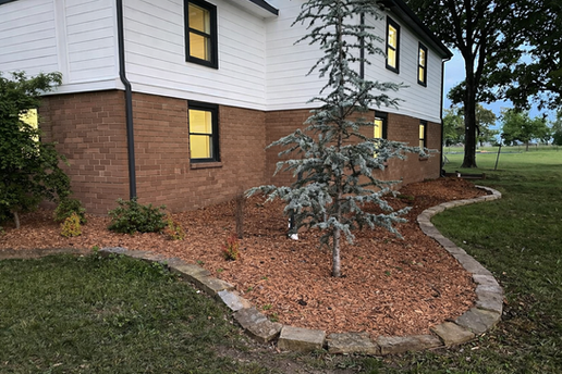 Curved stone edging with mulch landscape bed, evergreen tree, and foundation shrubs along a brick home.