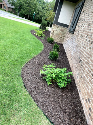 Mulch foundation planter bed with metal landscape edging and small shrubs along a brick home.