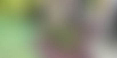 Upgrade Your Yard with Decorative Rock